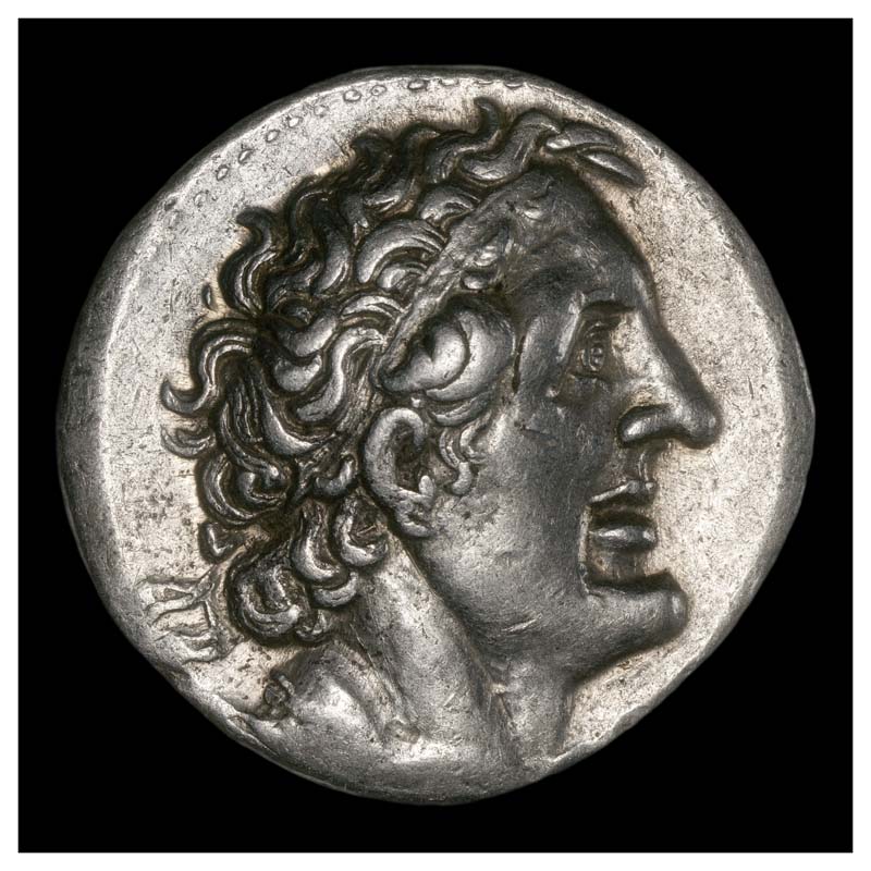 Ptolemy II tetradrachm obverse