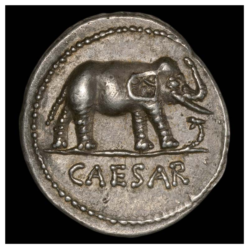 Julius Caesar elephant and dragon campaign denarius obverse