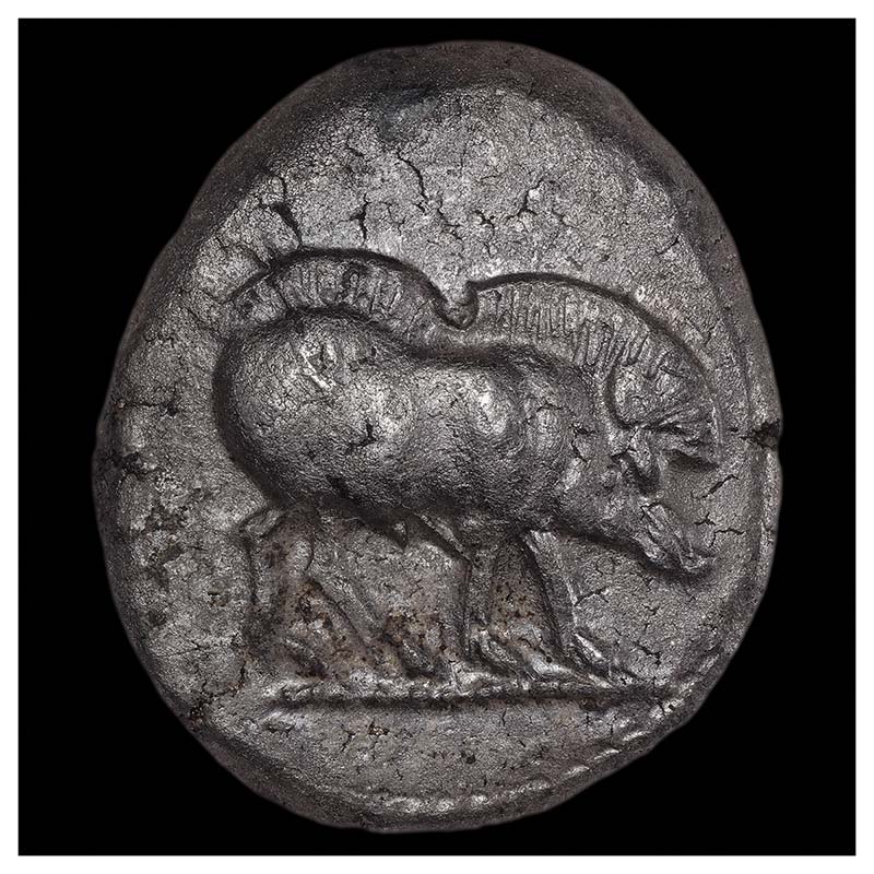 Lycia (series II) boar and tortise stater obverse