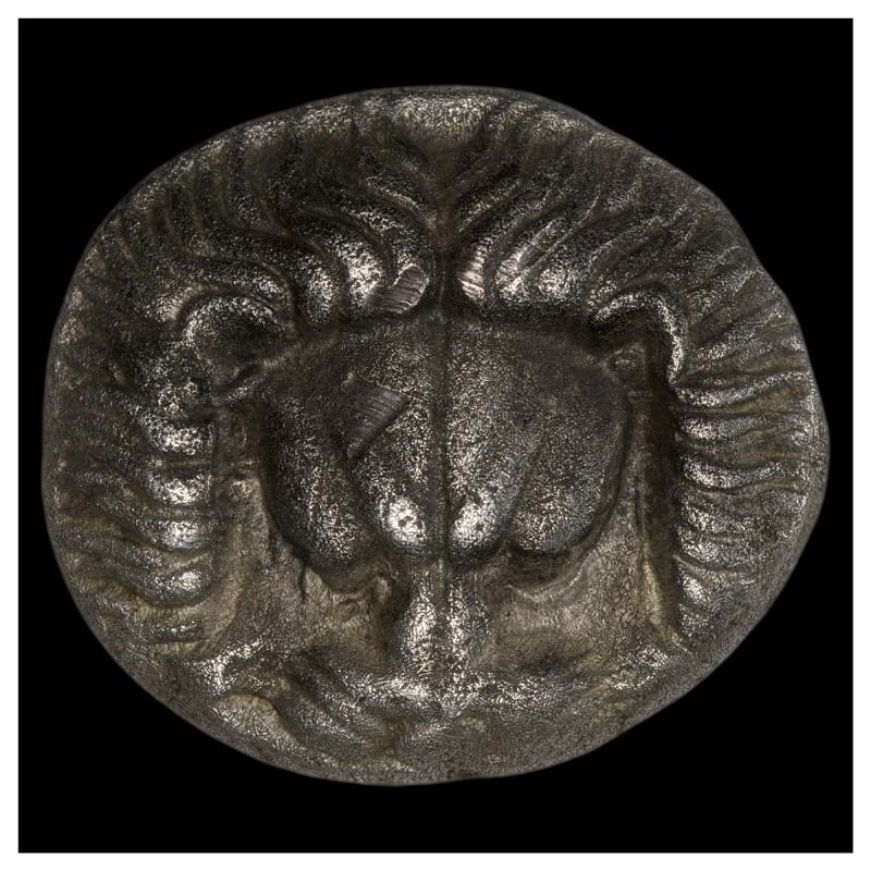 Samos tetradrachm obverse