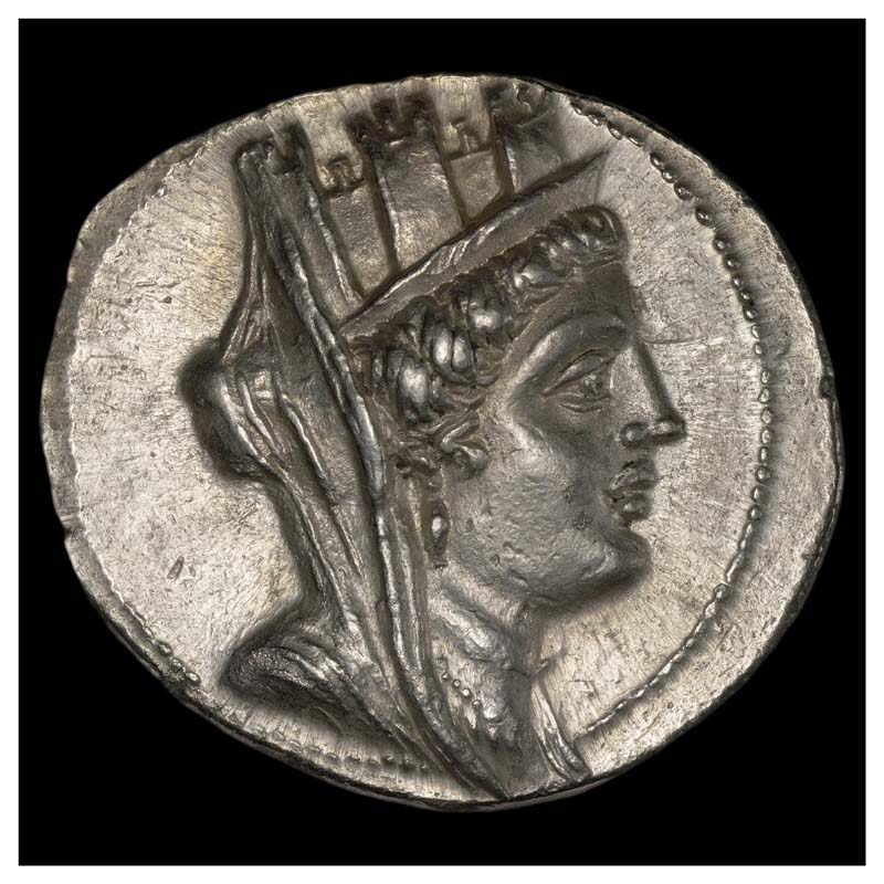 Sidon tetradrachm obverse