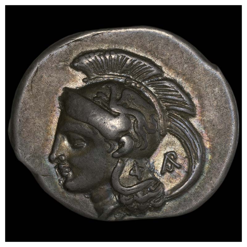 Velia stater obverse