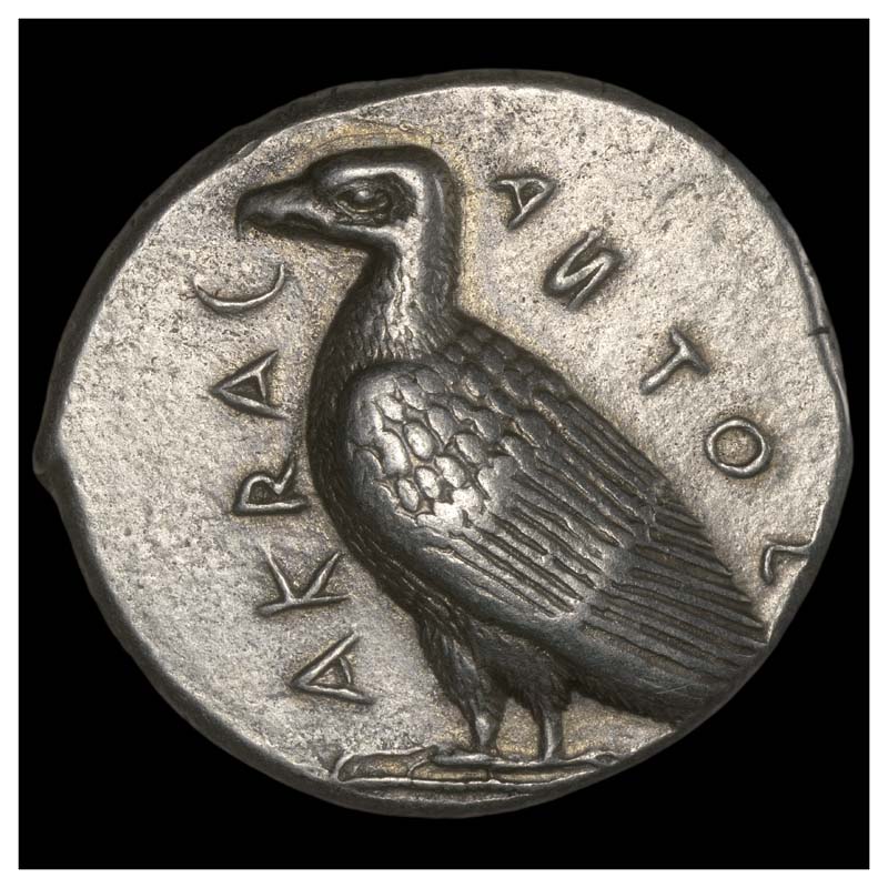 Akragas tetradrachm obverse