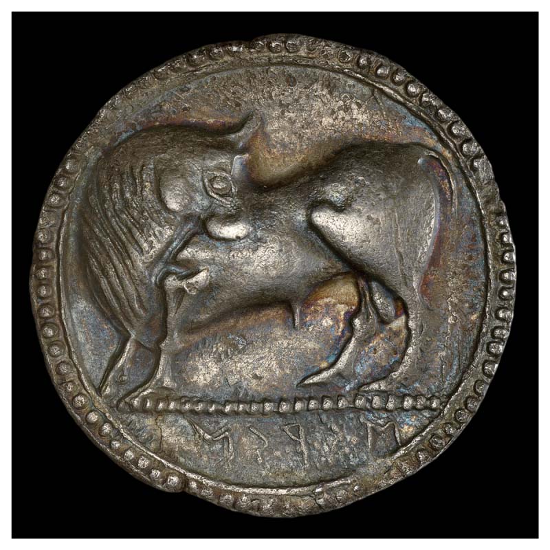 Siris-Pyxus nomos obverse