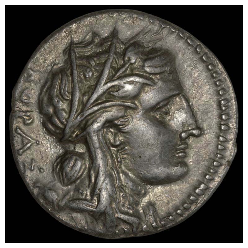 Syracuse Agathokles tetradrachm obverse