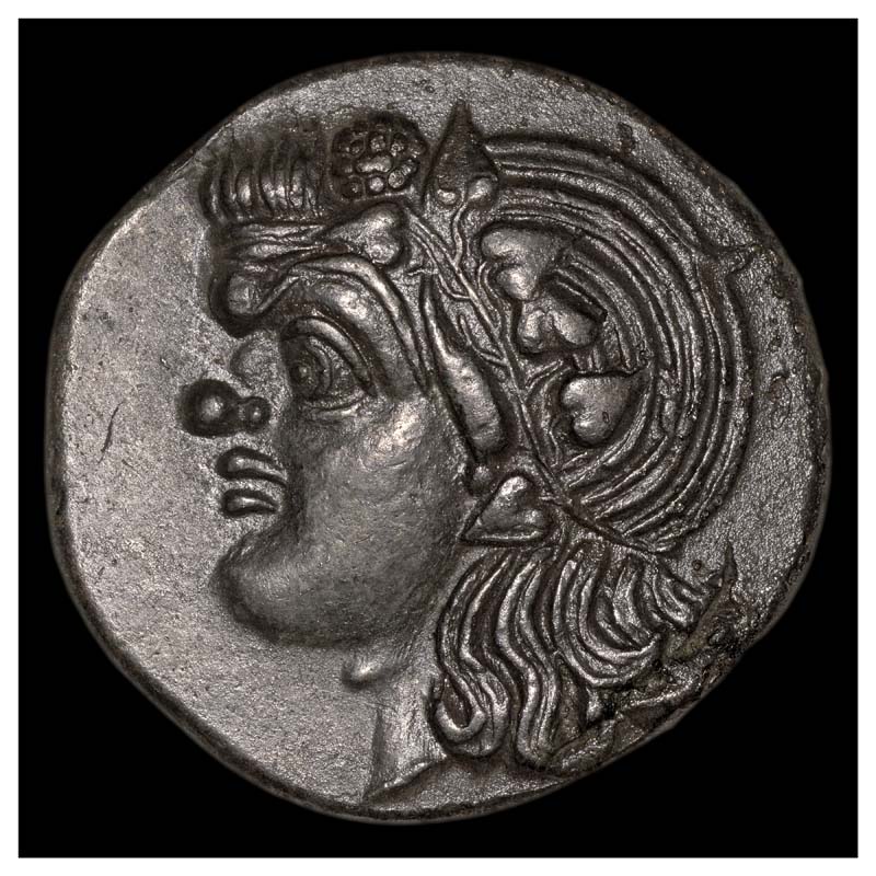 Pantikapaion tridrachm obverse