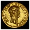 Young Nero aureus