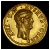 Young Nero aureus