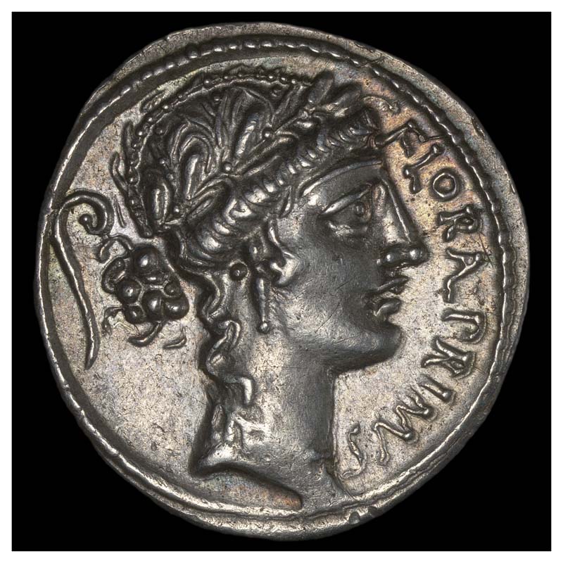 C. Servilius denarius obverse