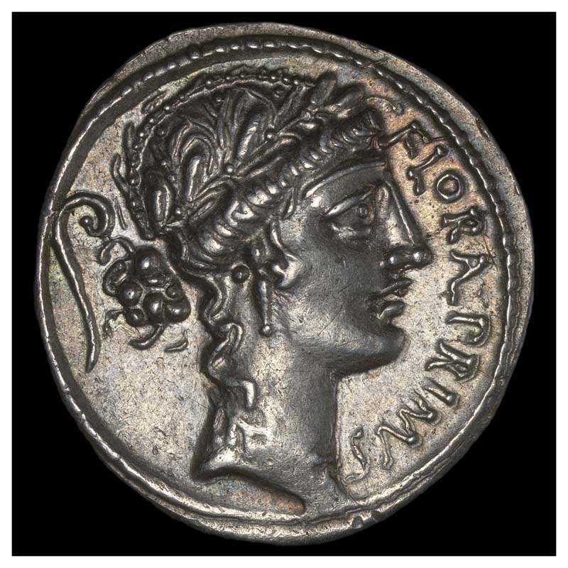 C. Servilius denarius obverse